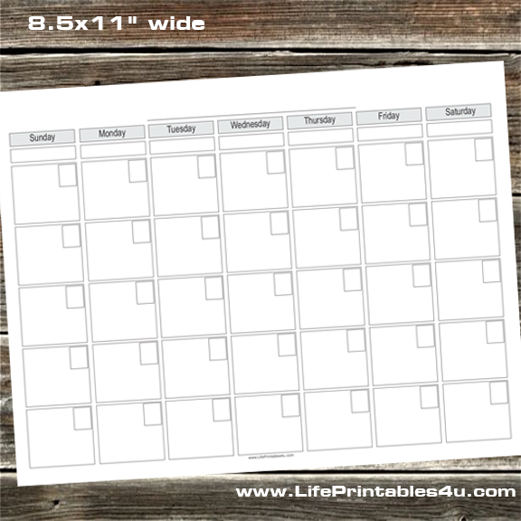 Calendar Style 50 Horizontal 8.5x11"